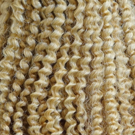 #18 Dirty Blonde - Coily