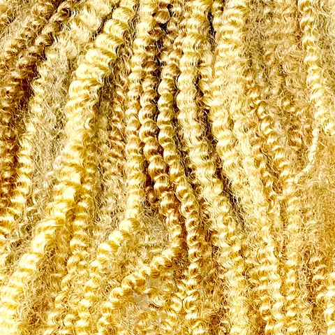 #18/22 Dirty Blonde Highlights - Coily