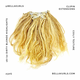 #18/22 Dirty Blonde Highlights - Coily
